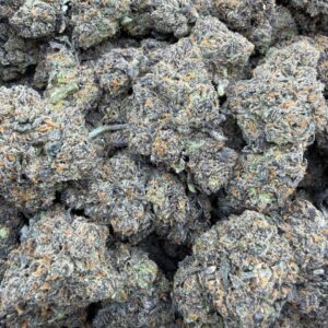 Blue Lobster strain