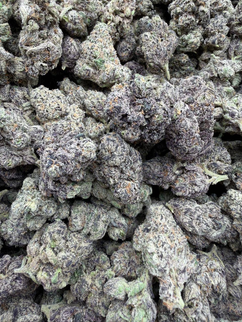 Candy Fumes strain