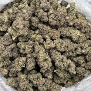 Hoock Strain