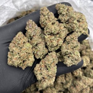 Winter Sunset Strain