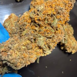 Cail Spain Premium Flower