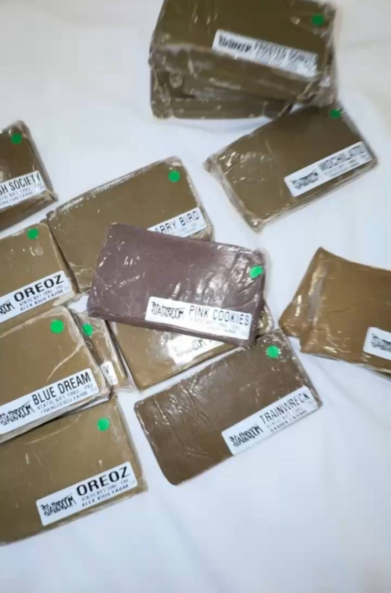 Static Room Hash Green Label